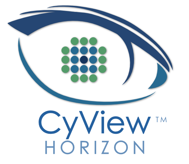 Cyber Consultant Cyview Horizon